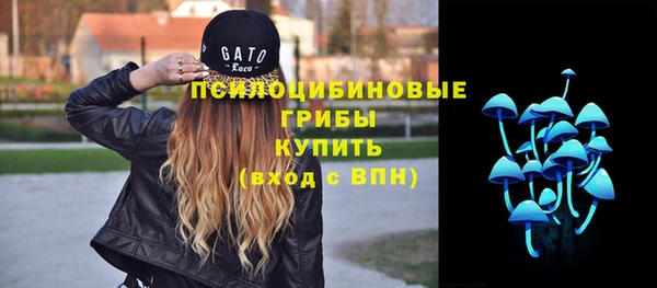 хмурый Нязепетровск