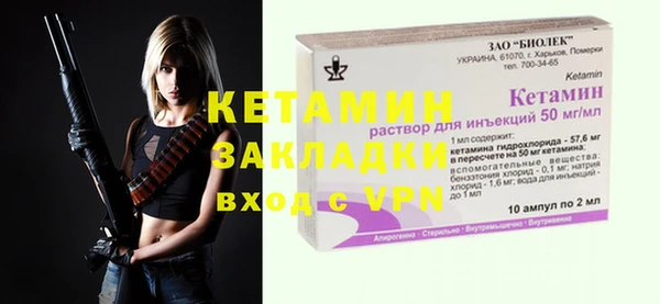 трава Няндома