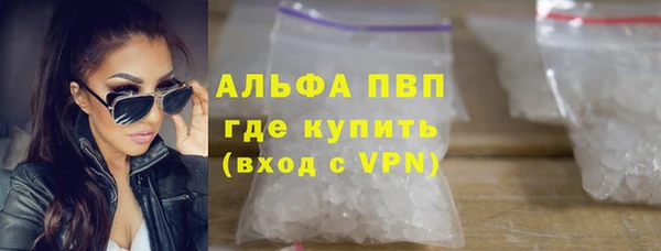 трава Няндома