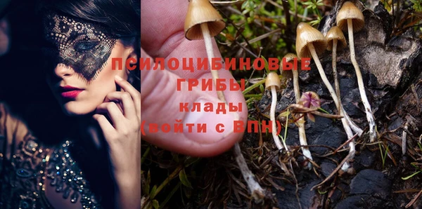 хмурый Нязепетровск