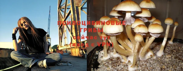 мяу мяу мука Новодвинск