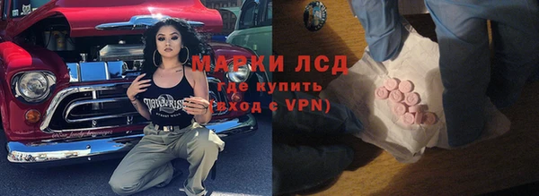 трава Няндома