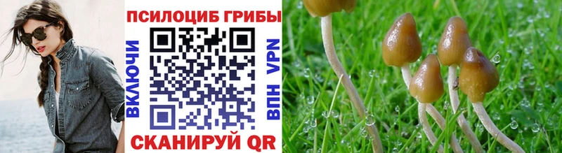 купить наркотики цена  Урюпинск  ОМГ ОМГ ссылка  Псилоцибиновые грибы мухоморы 