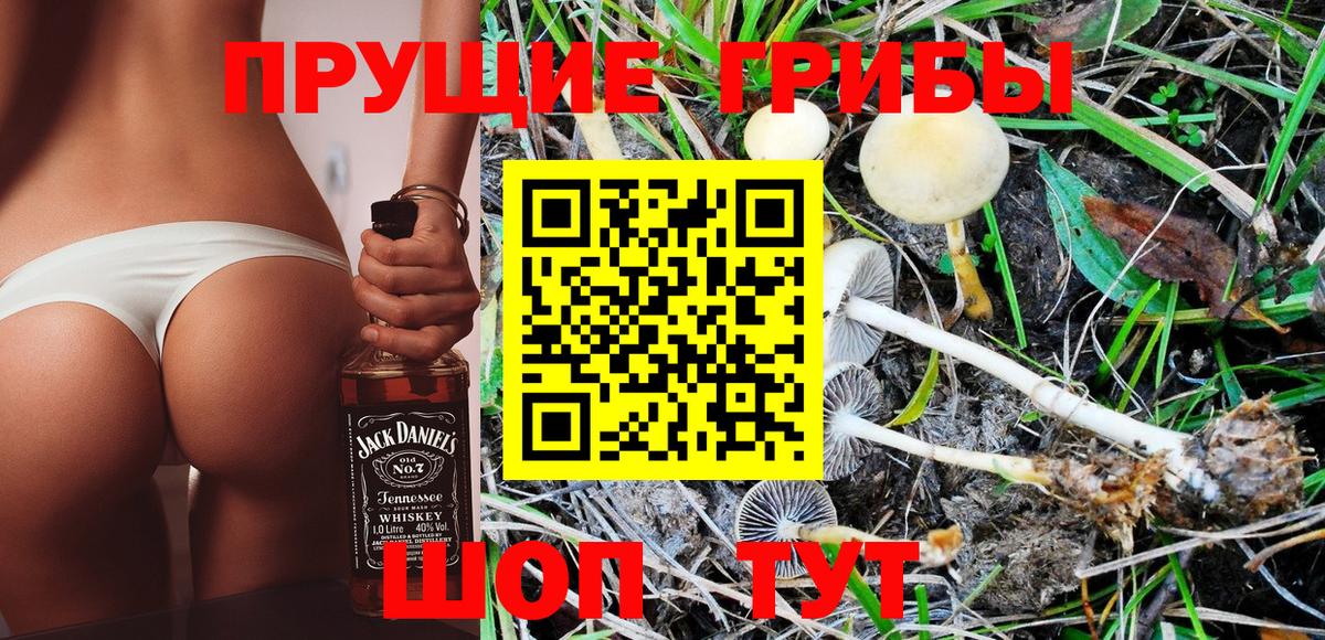 Псилоцибиновые грибы GOLDEN TEACHER  Галлюциногенные грибы Magic Shrooms  Урюпинск 