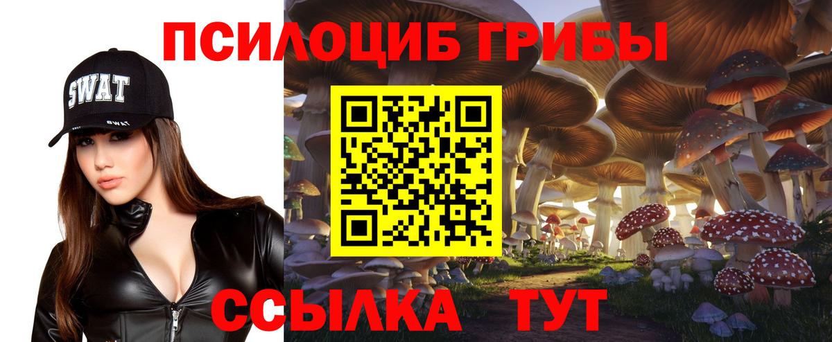 Урюпинск  Галлюциногенные грибы ЛСД  Вход с VPN  Галлюциногенные грибы GOLDEN TEACHER 